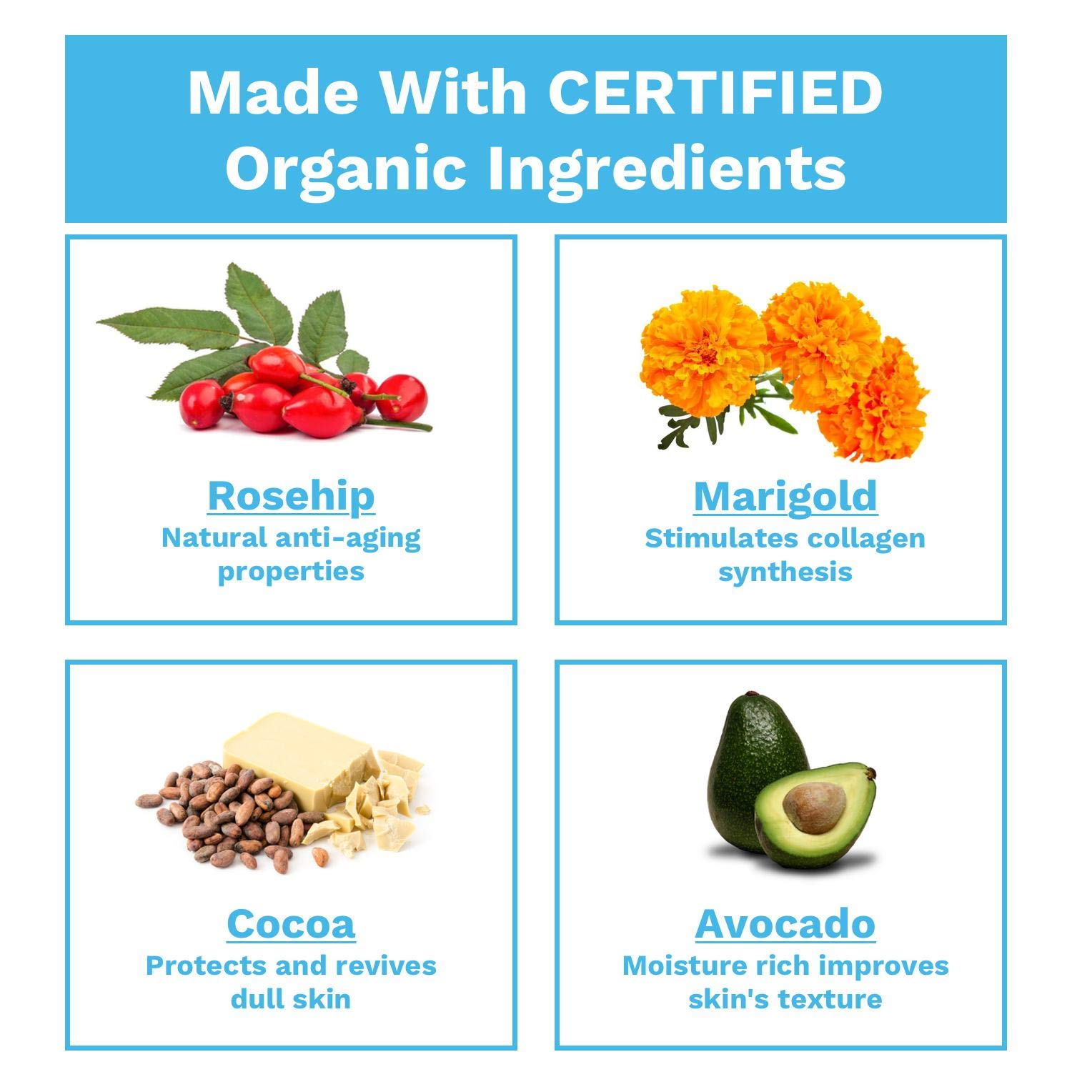 Block Island Organics Revitalizing Night Cream - Organic Anti-Aging Face Moisturizer with Natural Anti-Oxidants Vitamin C  E – EWG - Sensitive Skin Care for Face, Eyes, and Neck - 2 OZ