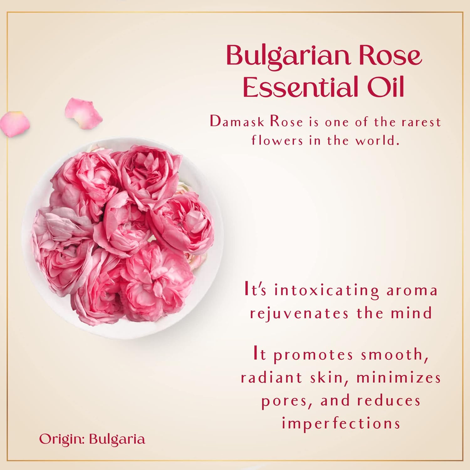 SAFA Rosé Oil - Organic Oil for Face, Body, Hair, Nails  Aromatherapy | Bulgarian Rose Essential Oil  Organic Floating Rose Petals | Moisturizer for Women  Men - 4 Fl Oz